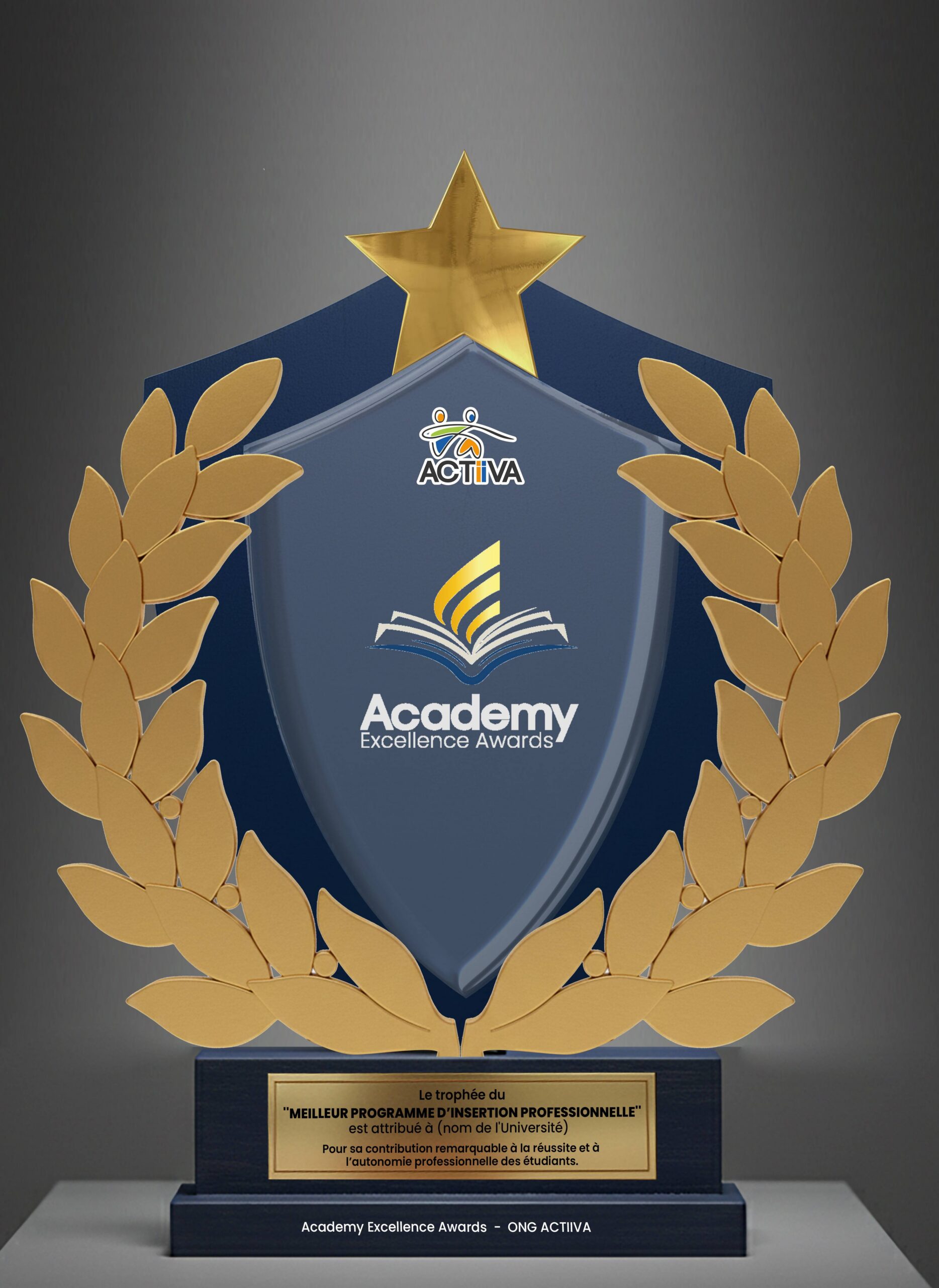 MEILLEUR PROGRAMME D’INSERTION PROFESSIONNELLE